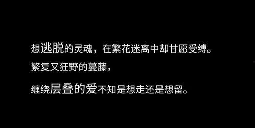 心动倒计时：等你卸任,见证卸任时刻的温馨告别